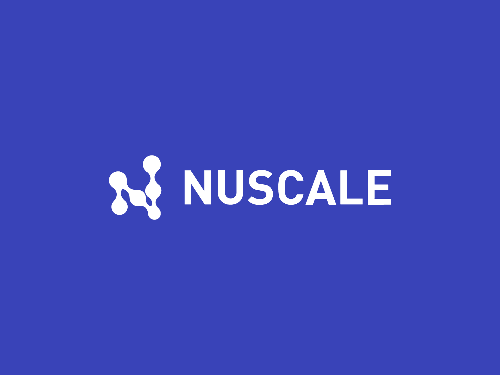 Vercel ProjectImage Nuscale